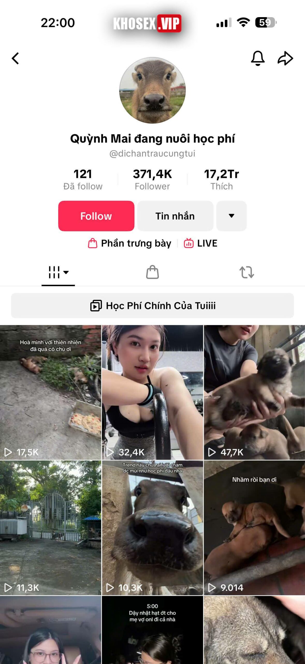 Lộ clip sex Idol Tiktoker Quỳnh Mai đang nuôi học phí - Hình 01